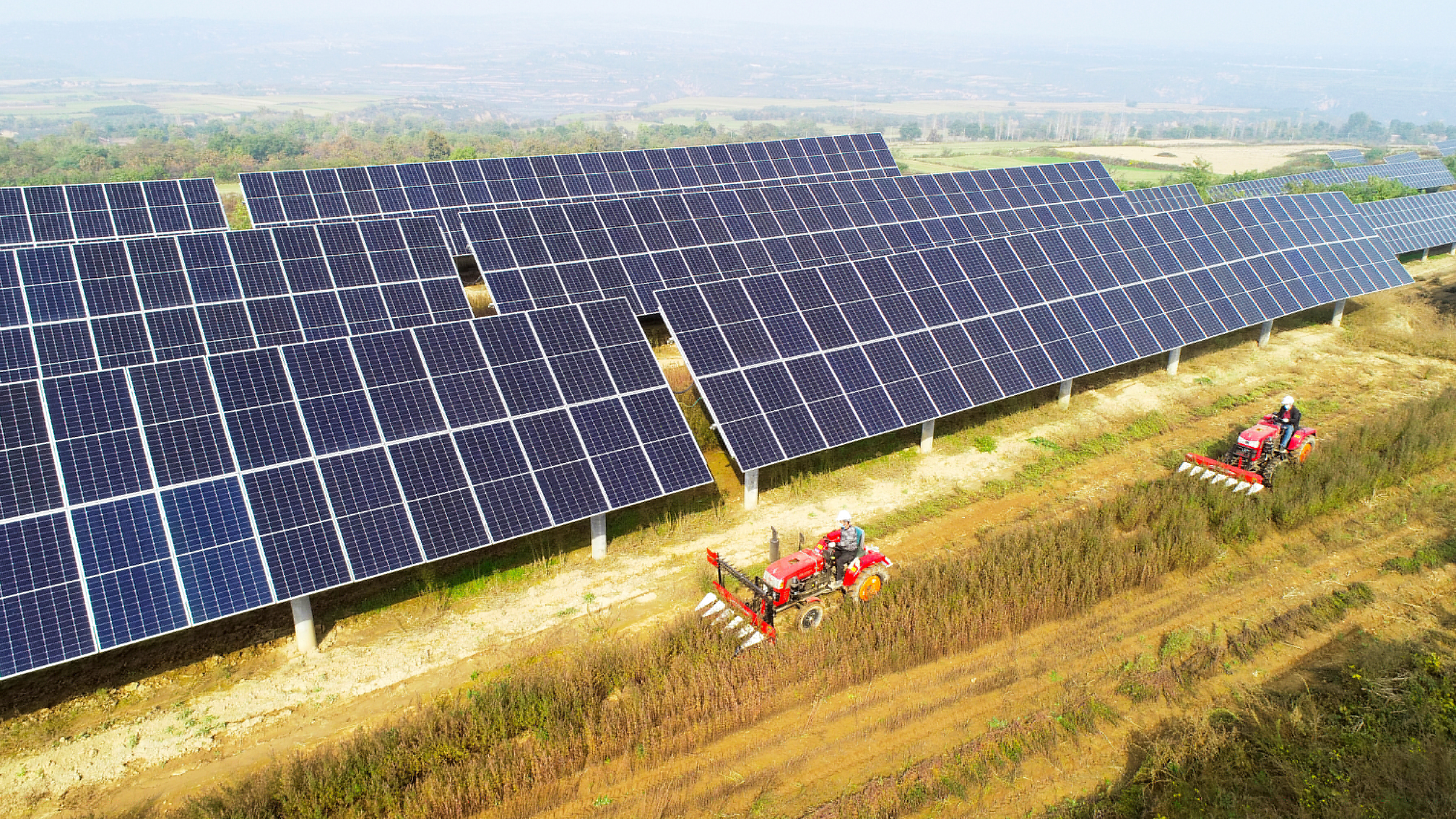 圖3.大唐西安熱電廠永壽高廟山光伏電站進行中草藥收割工作，實現(xiàn)惠農(nóng)共贏.jpg