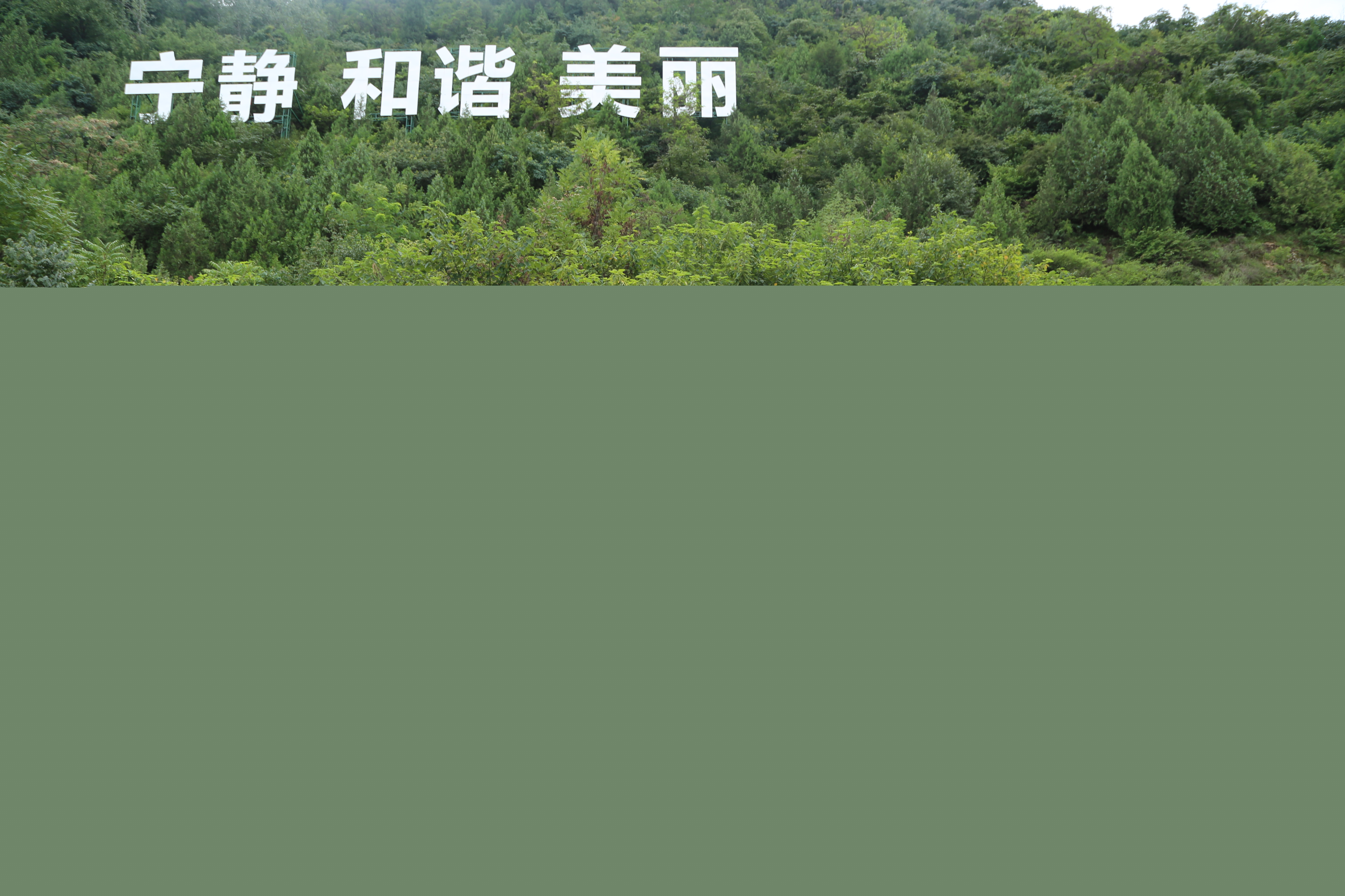 5.在西安市鄠邑區(qū)秦嶺保護(hù)站合影.jpg